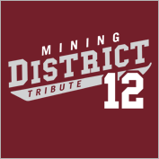 District 12 Hunger Games T-Shirt